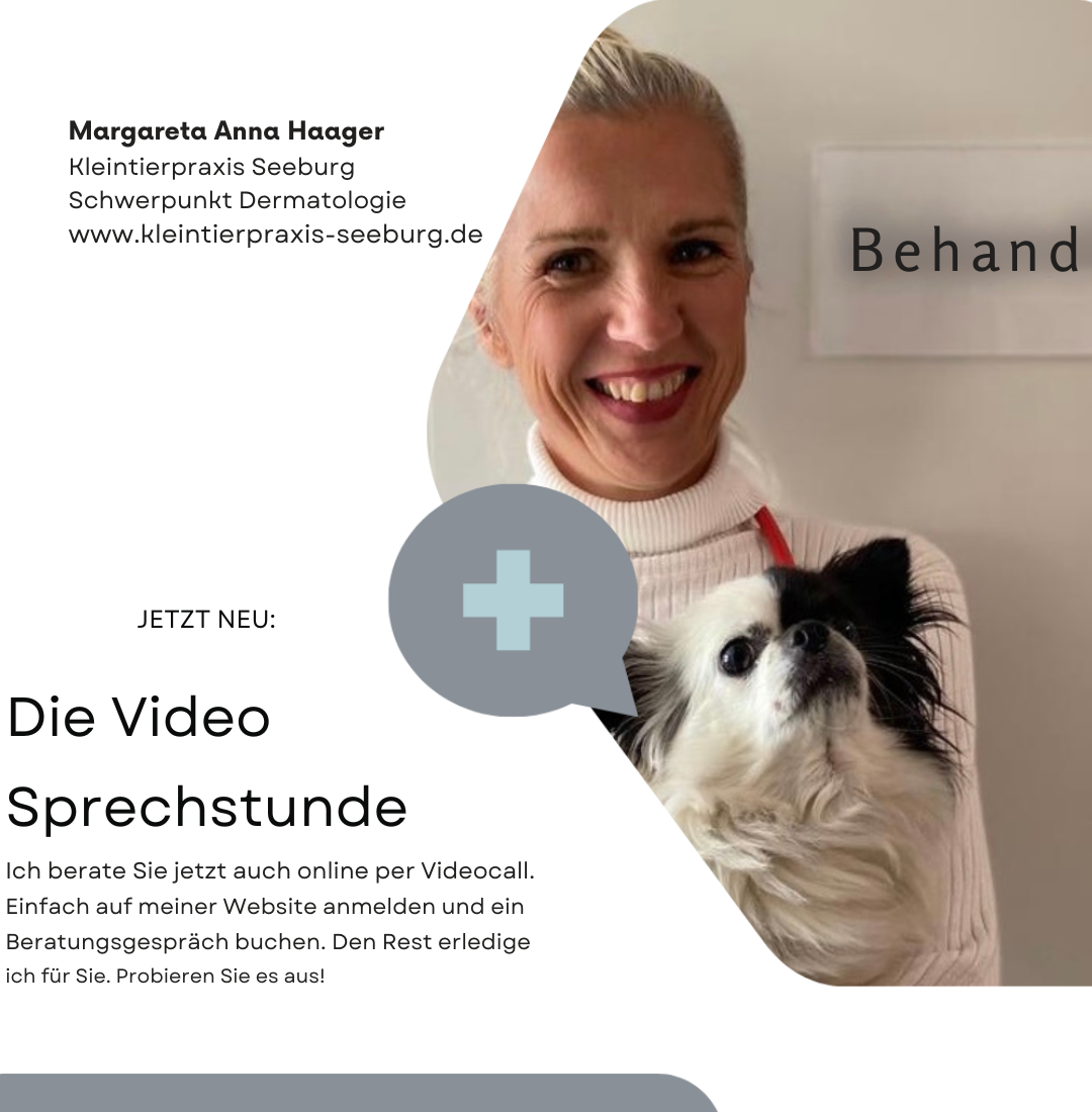 Video Sprechstunde mobile header futtermittelallergie online Kleintierpraxis Seeburg